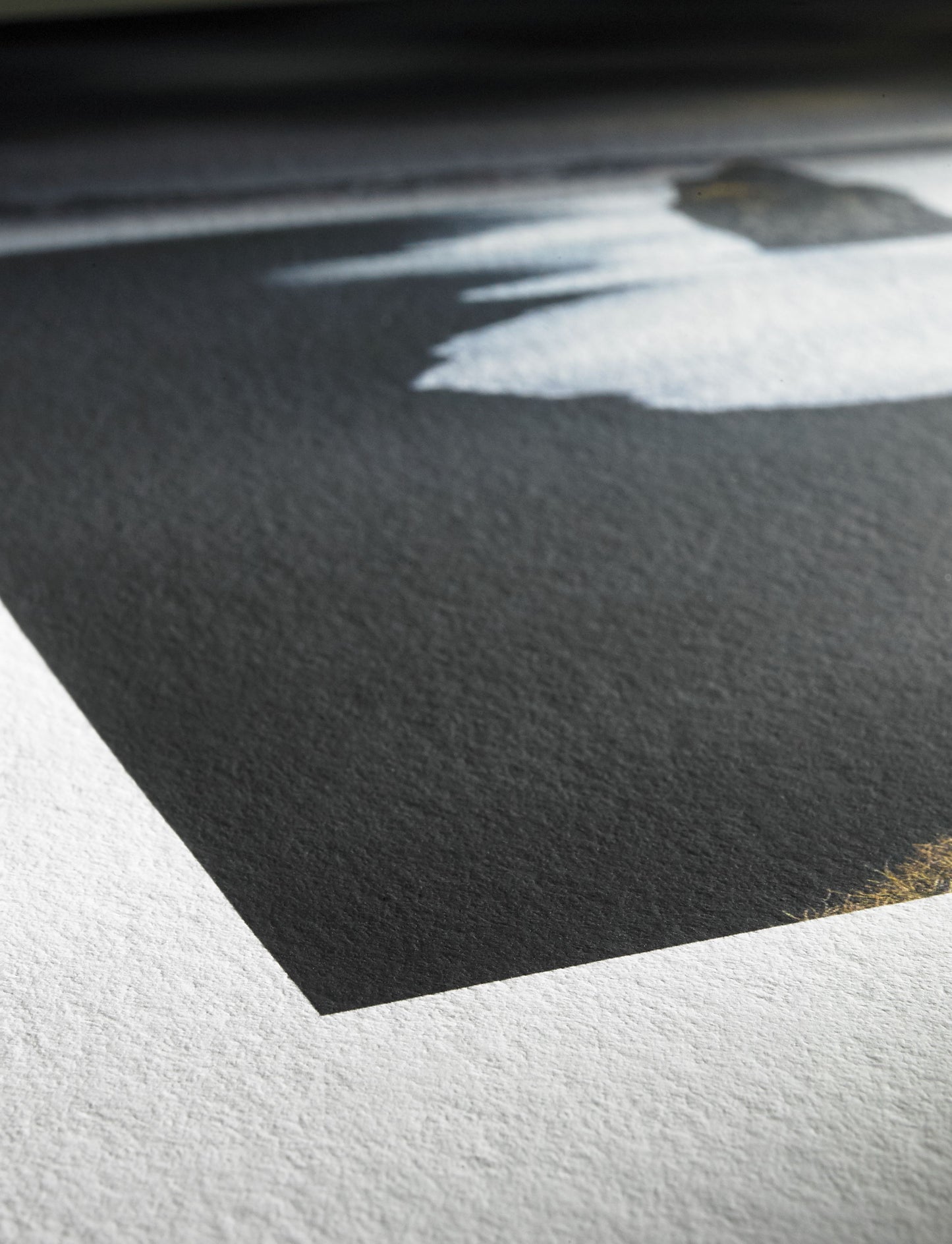 20%OFF - Photo Rag® Bright White Hahnemühle